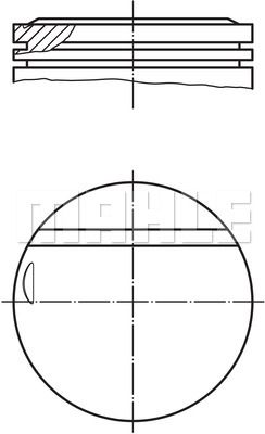 WILMINK GROUP Männät WG1200582